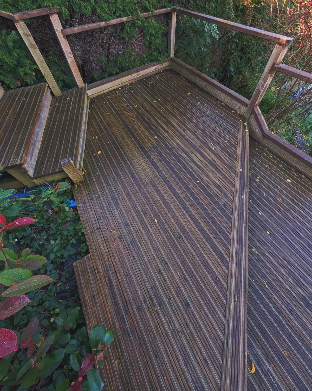 Raised timber decking with steps in Whittle-le-Woods before cleaning