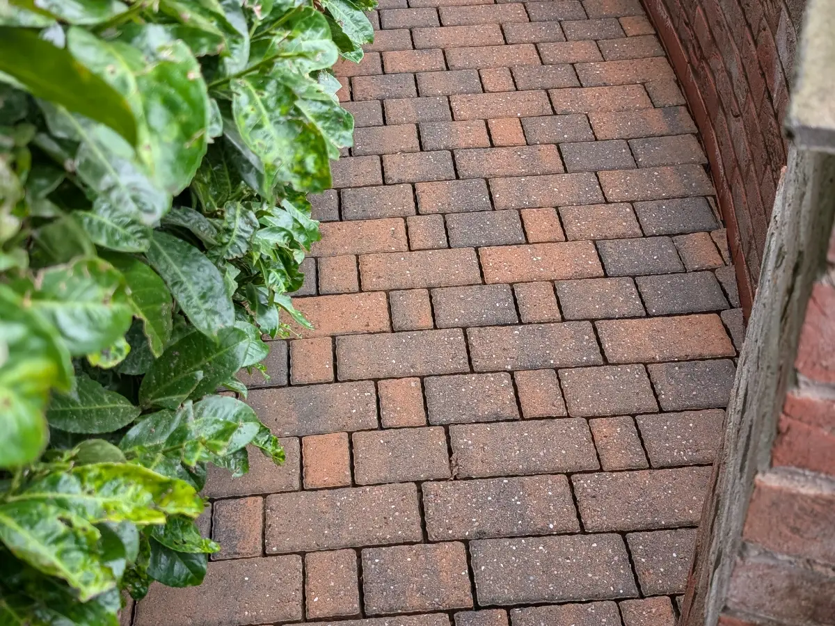 The same block paving path after Restorra cleaning