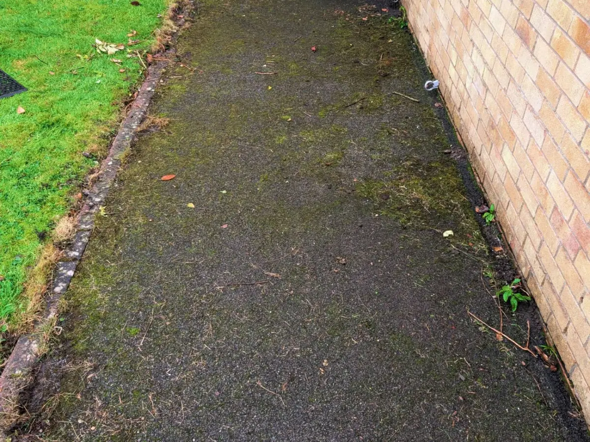 Moss-covered tarmac path before Restorra cleaning